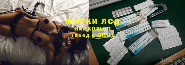 индика Абаза