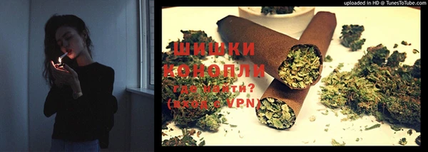 индика Абаза