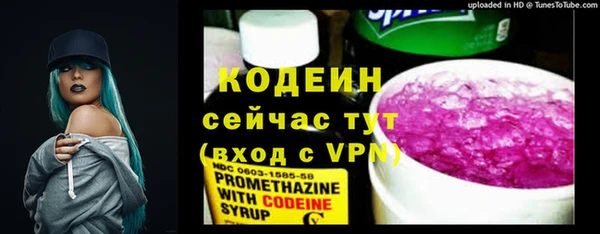индика Абаза