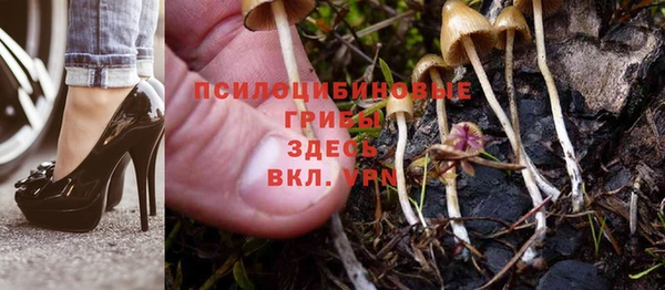 синтетический гашиш Алексеевка