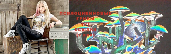 индика Абаза