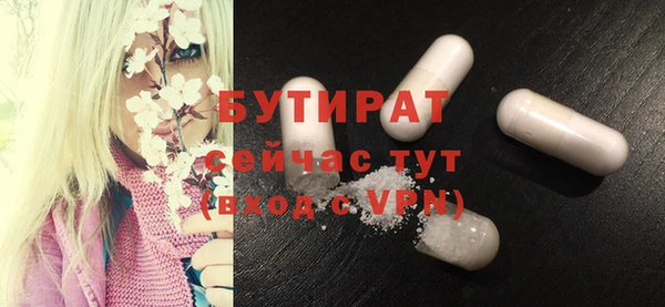 индика Абаза