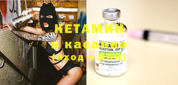 индика Абаза