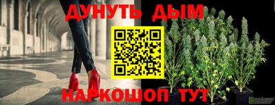 стаф Донской