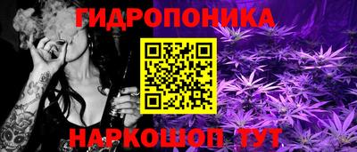 гидра Гусев