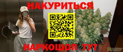 гашик Дубна