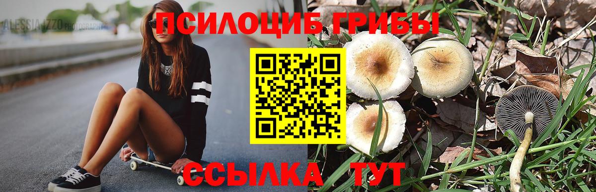 Псилоцибиновые грибы ЛСД  Вход с VPN  Миллерово 